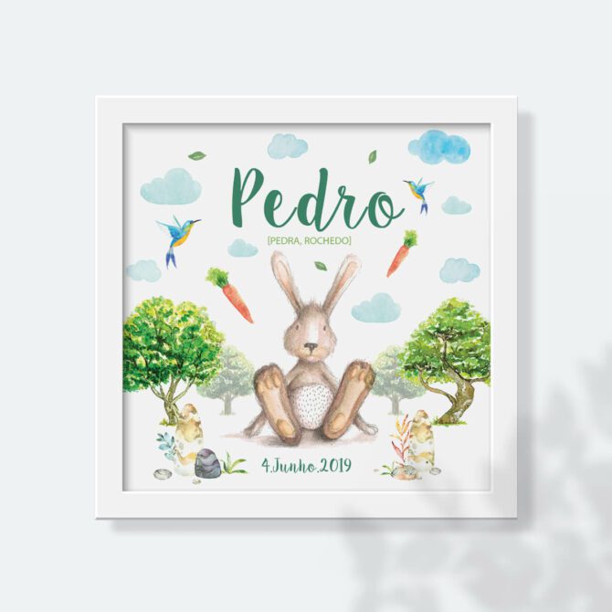 ilustração de pedrito coelho ou peter rabbit com cenouras e dados de nascimento para decorar quarto de bebé