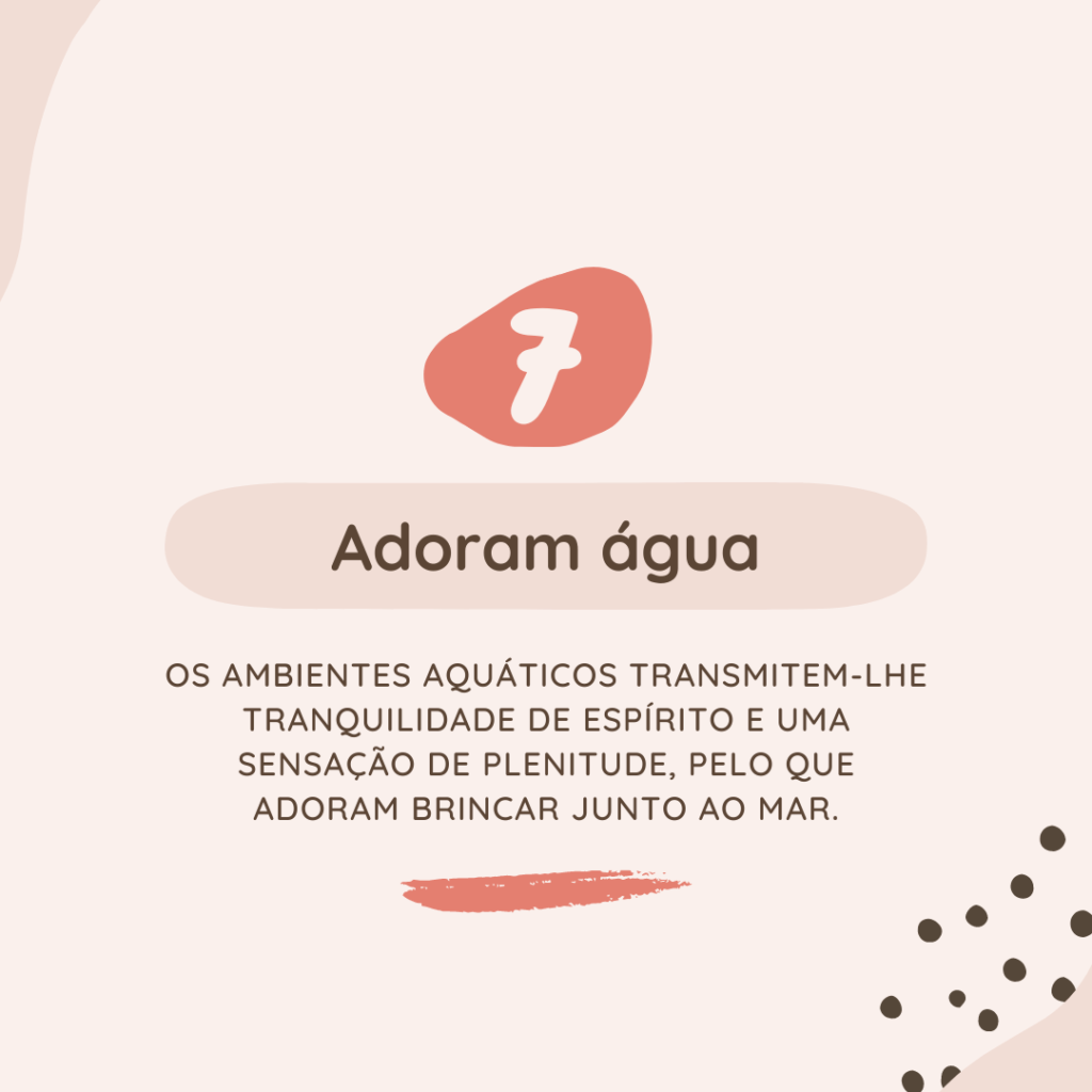 crianças adoram água